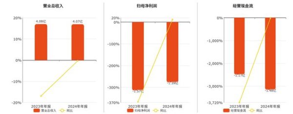 益丰配资 吉大正元(003029.SZ)：2024年年报净利润为-1.39亿元