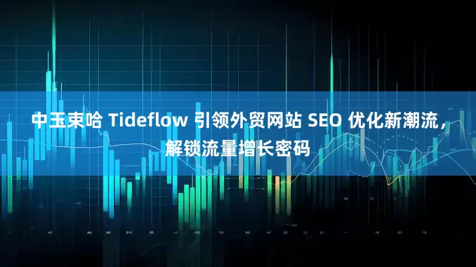 中玉束哈 Tideflow 引领外贸网站 SEO 优化新潮流，解锁流量增长密码